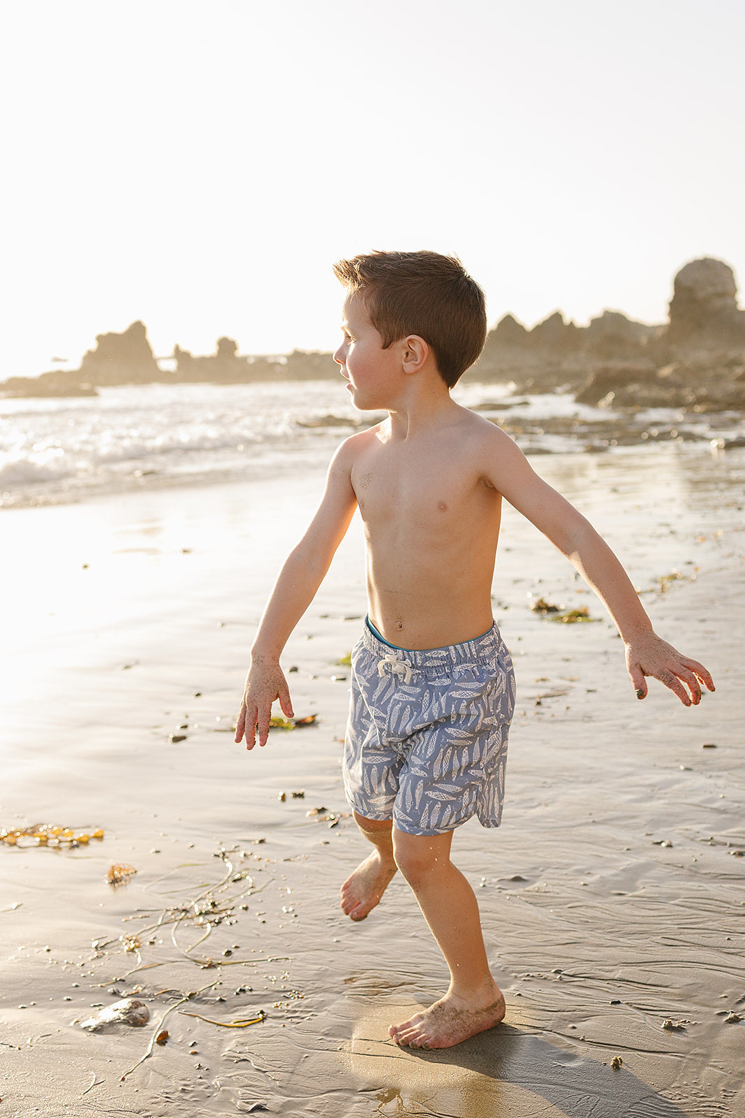 Sardine Swim Shorts