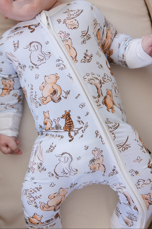 Silly Old Bear - Zippy