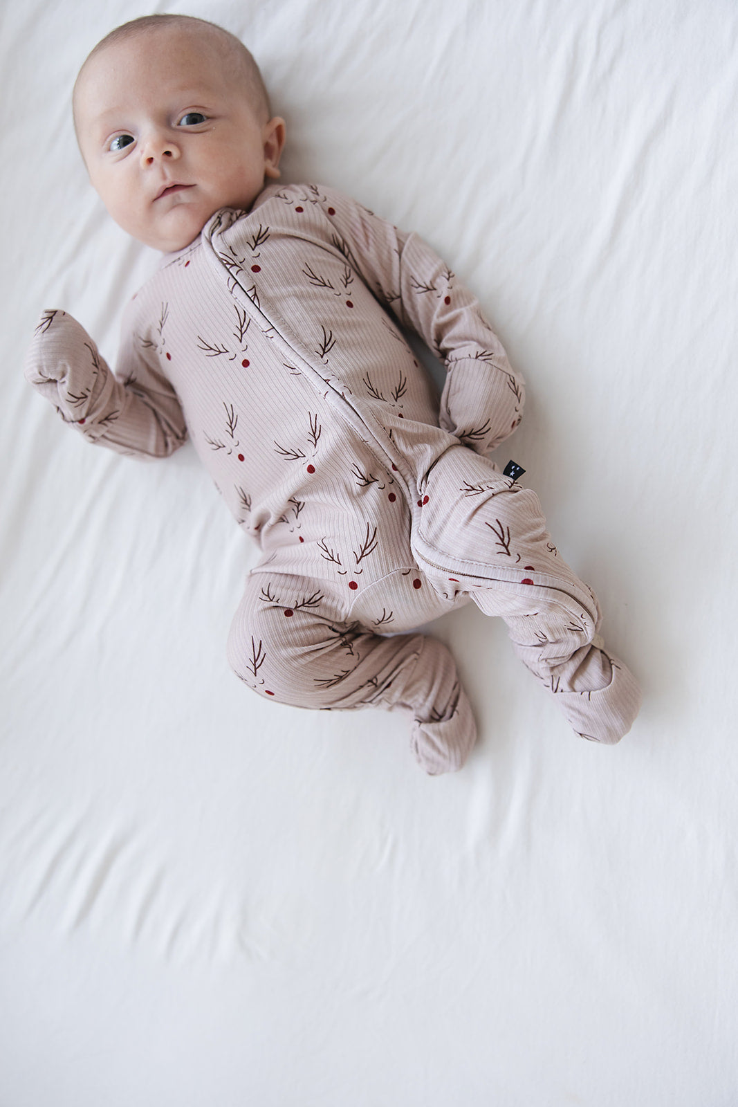 Reindeer Ridge (ribbed) - Zippy