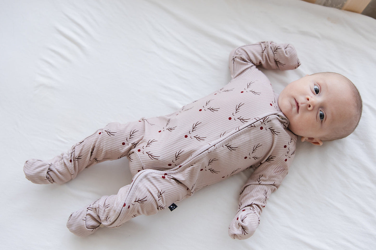 Reindeer Ridge (ribbed) - Zippy