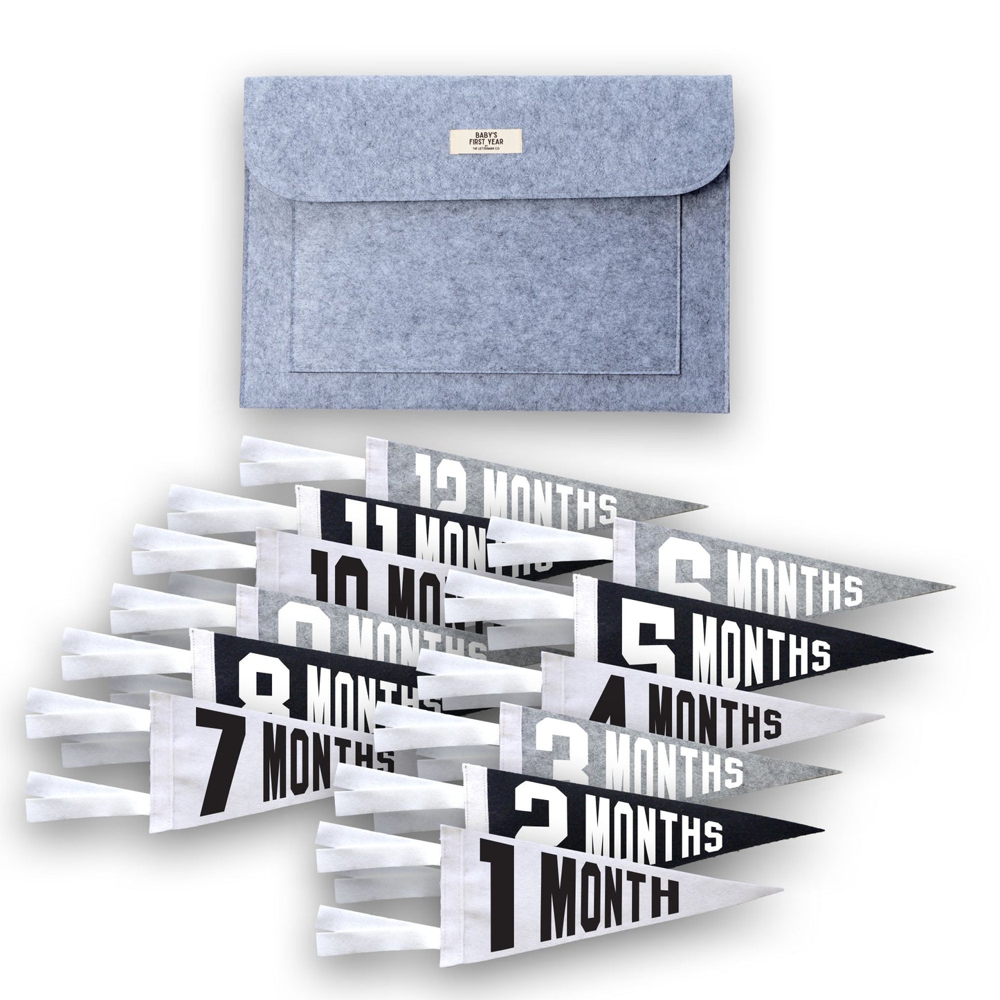 Baby Milestone Pennant Gift Set