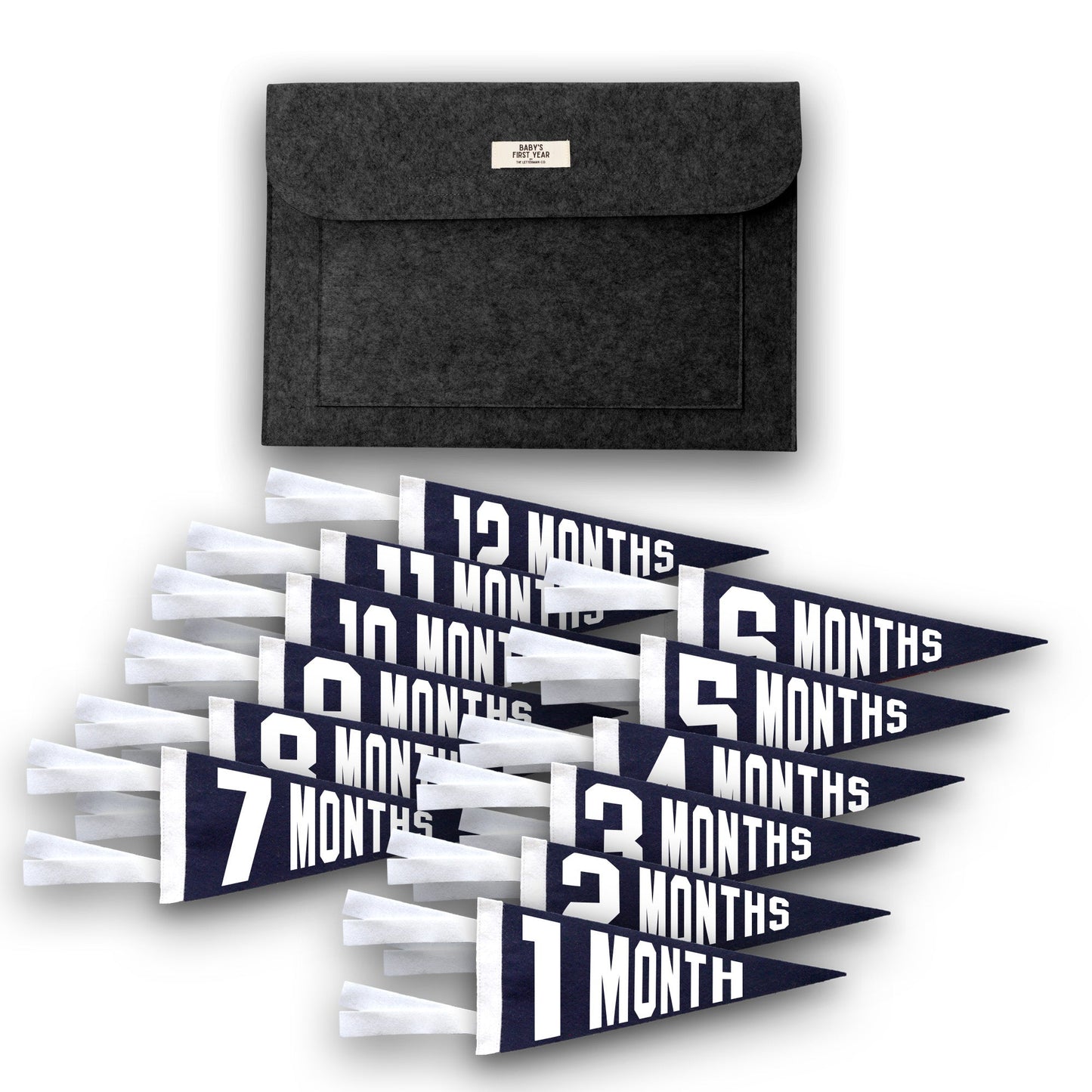Baby Milestone Pennant Gift Set