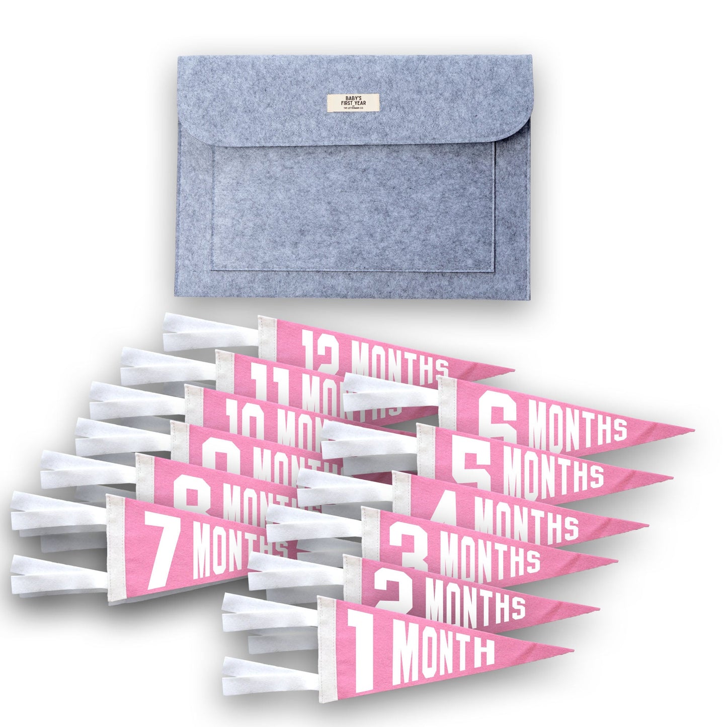 Baby Milestone Pennant Gift Set