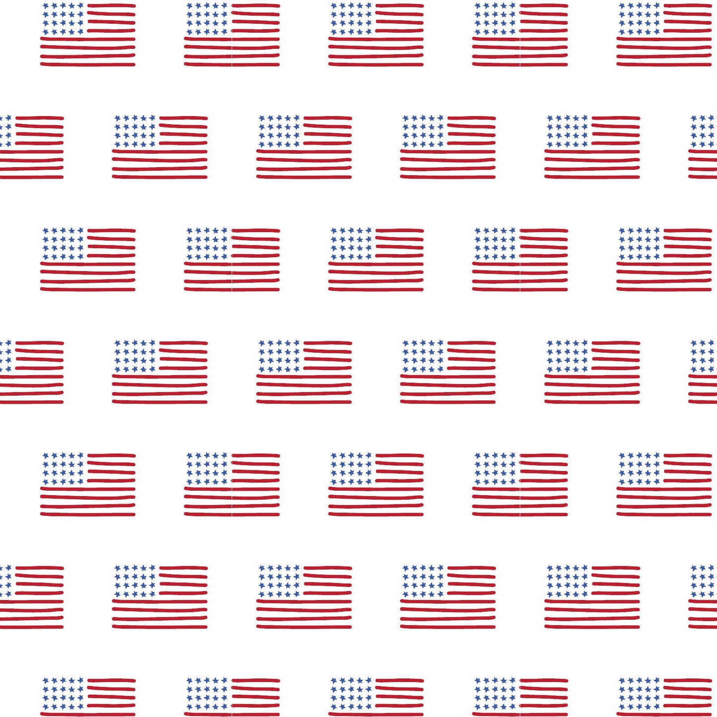 Charles Boys' Short Set - American Flag