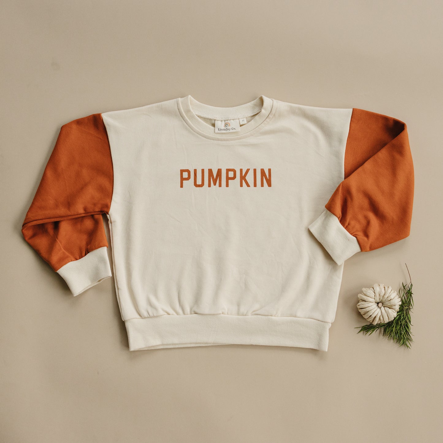 Sweatshirt mit Rundhalsausschnitt und „Kürbis“-Print in Farbblock-Optik