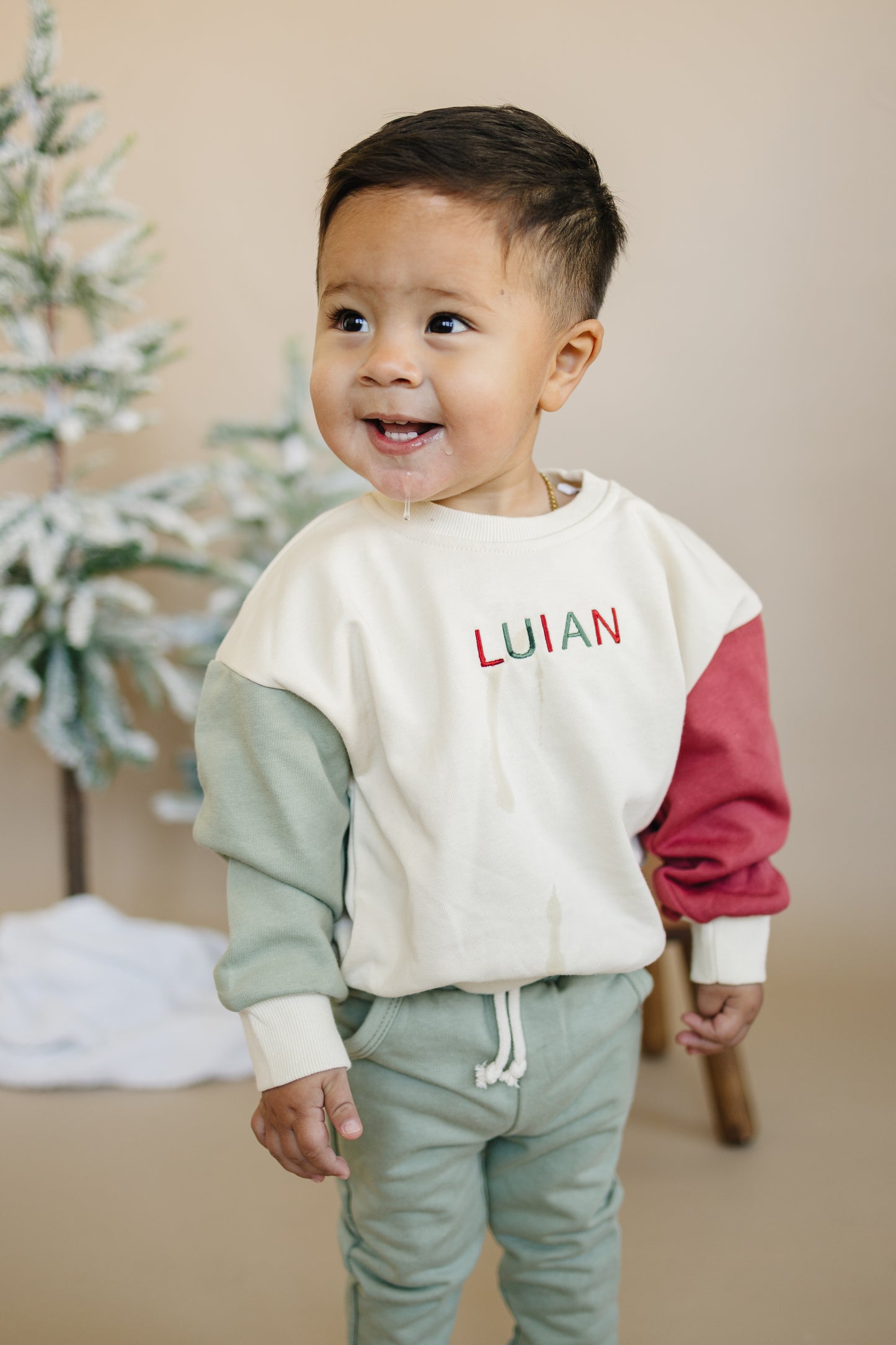 CHRISTMAS PREORDER Blank Christmas Colorblock Crewneck Sweatshirt