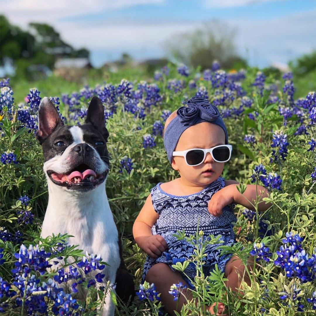 Ice Ice Baby Shades | Baby - Little Joy Co.