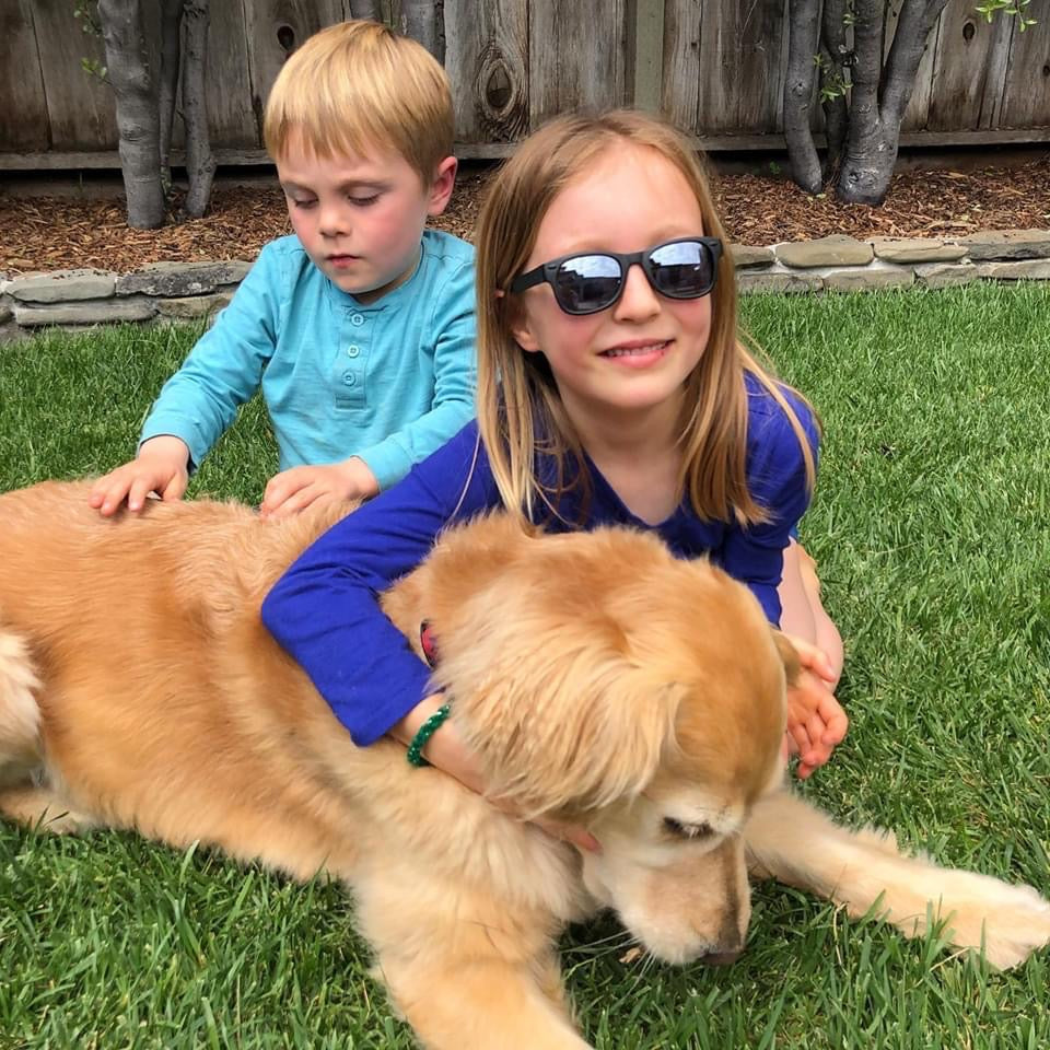 Bueller Shades | Junior - Little Joy Co.