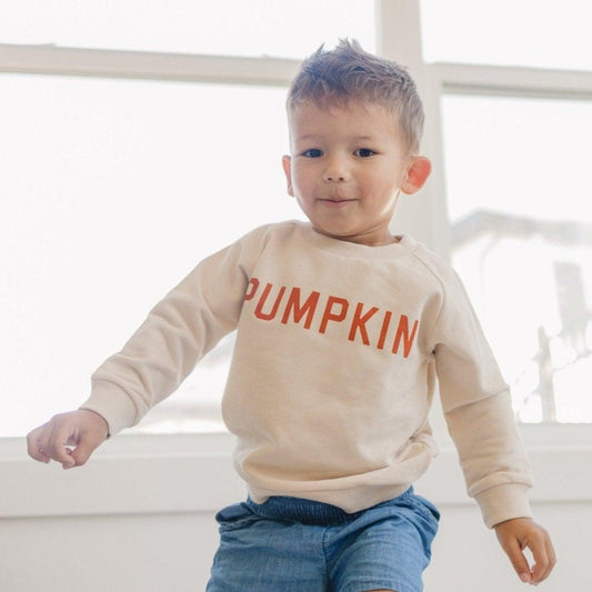Pumpkin Organic Cotton Crewneck Sweatshirt - Little Joy Co.