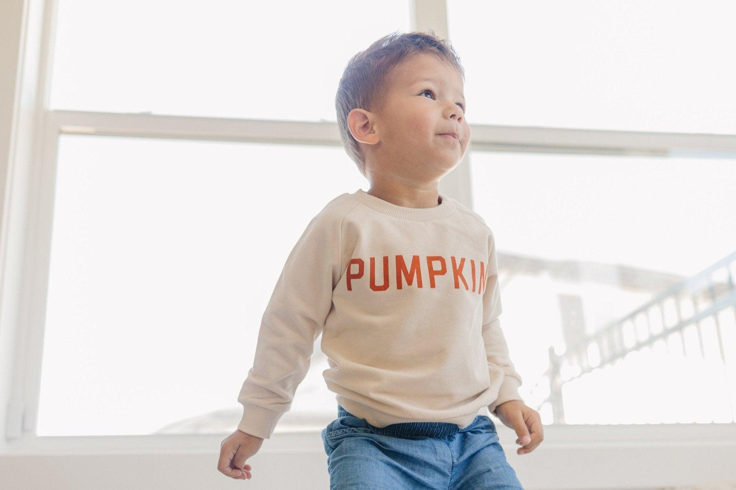 Pumpkin Organic Cotton Crewneck Sweatshirt - Little Joy Co.