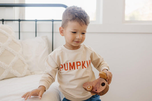 Pumpkin Organic Cotton Crewneck Sweatshirt - Little Joy Co.