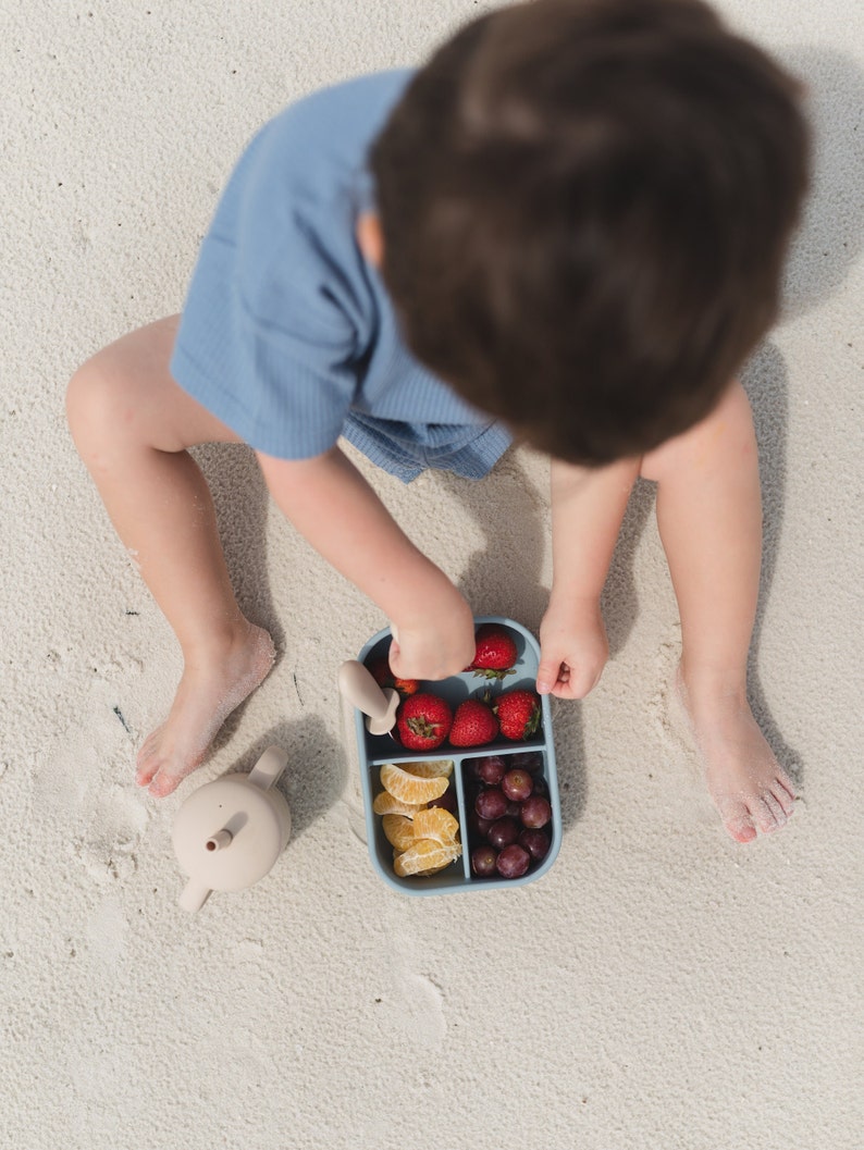Silikon-Bento-Box – Silikon-Lunchbox – unterteilte Lunchbox für Kinder und Erwachsene