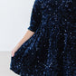 Navy Velvet Sequin Dress