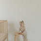 Bamboo Two Piece Pajamas | Flora