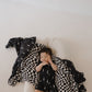 Shortie Bamboo Zip | Midnight Lightning Bolt