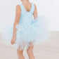 Bluebird Tank Tutu Leotard