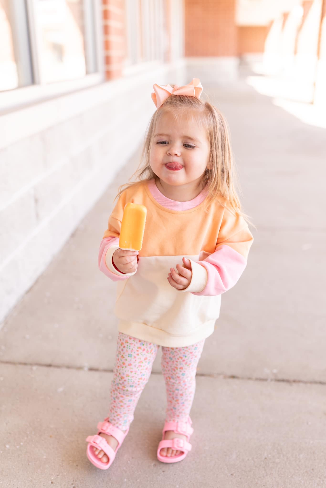 Sweatshirt mit Rundhalsausschnitt und Farbblock-Stickerei