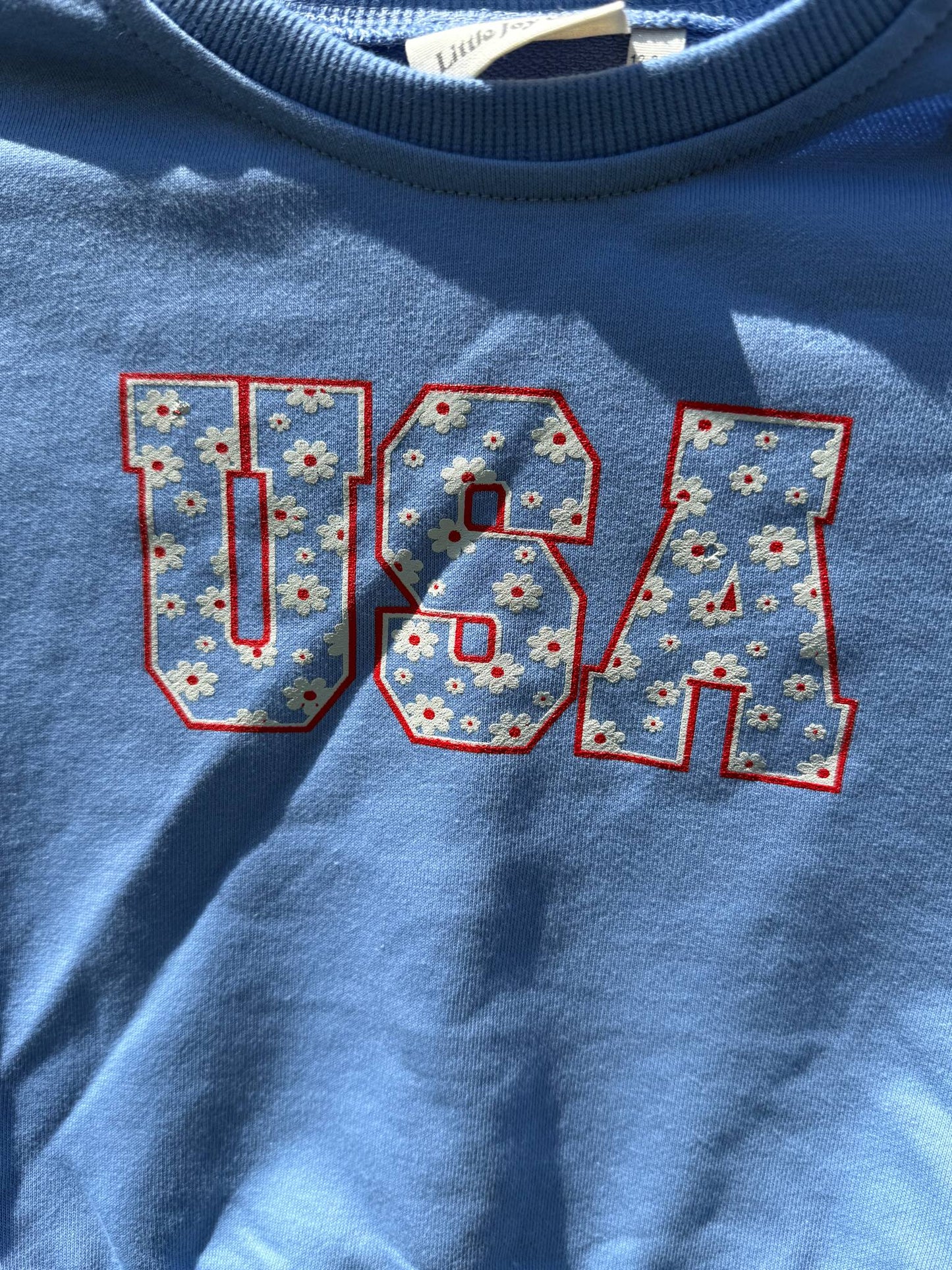 USA Daisy Crewneck Sweatshirt - more colors
