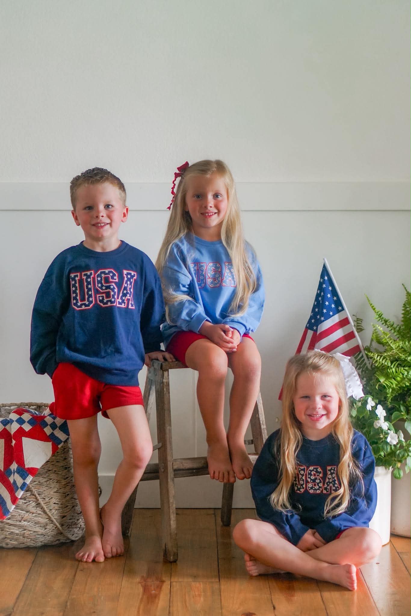 Sweatshirt mit Rundhalsausschnitt und USA Stars