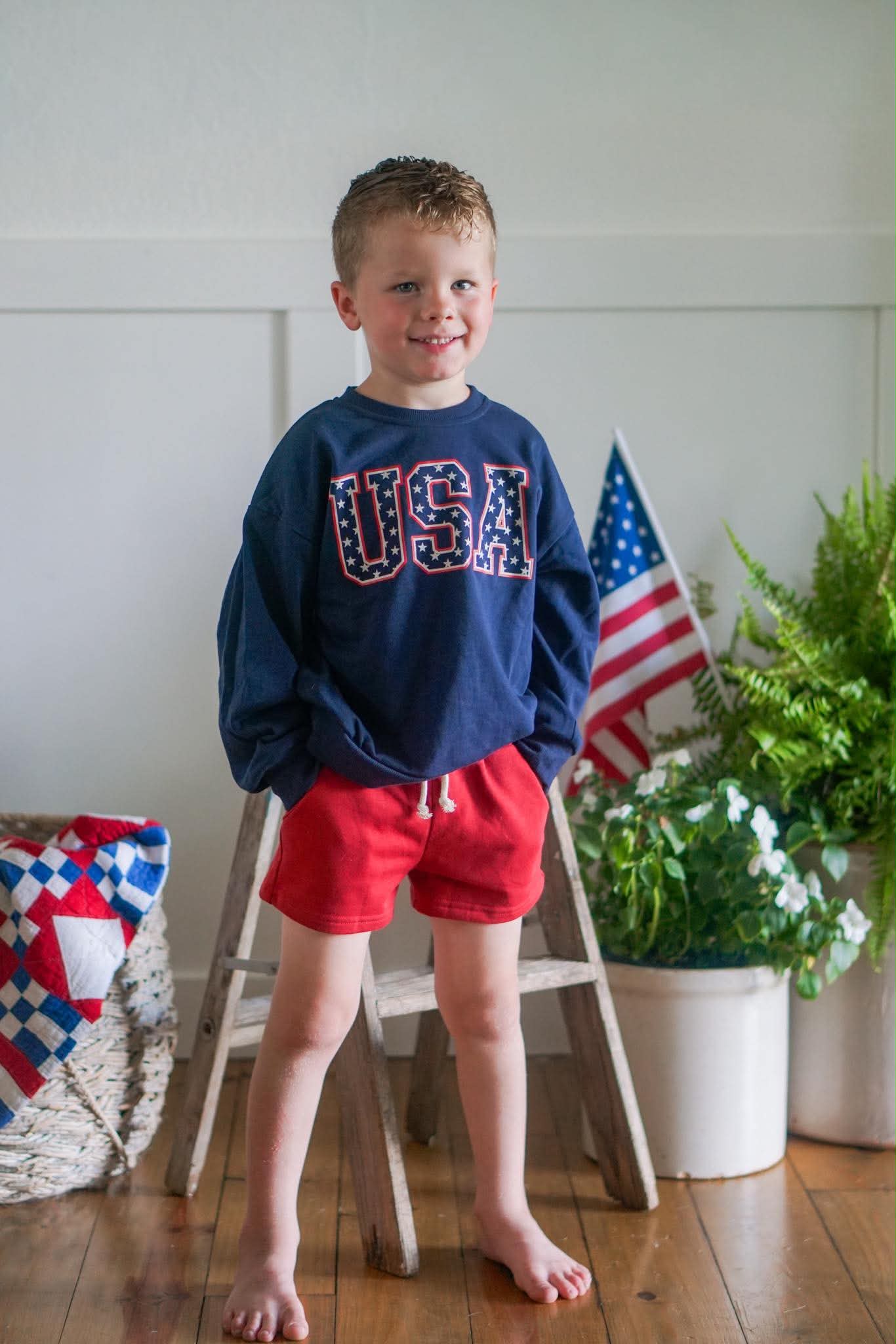 Sweatshirt mit Rundhalsausschnitt und USA Stars