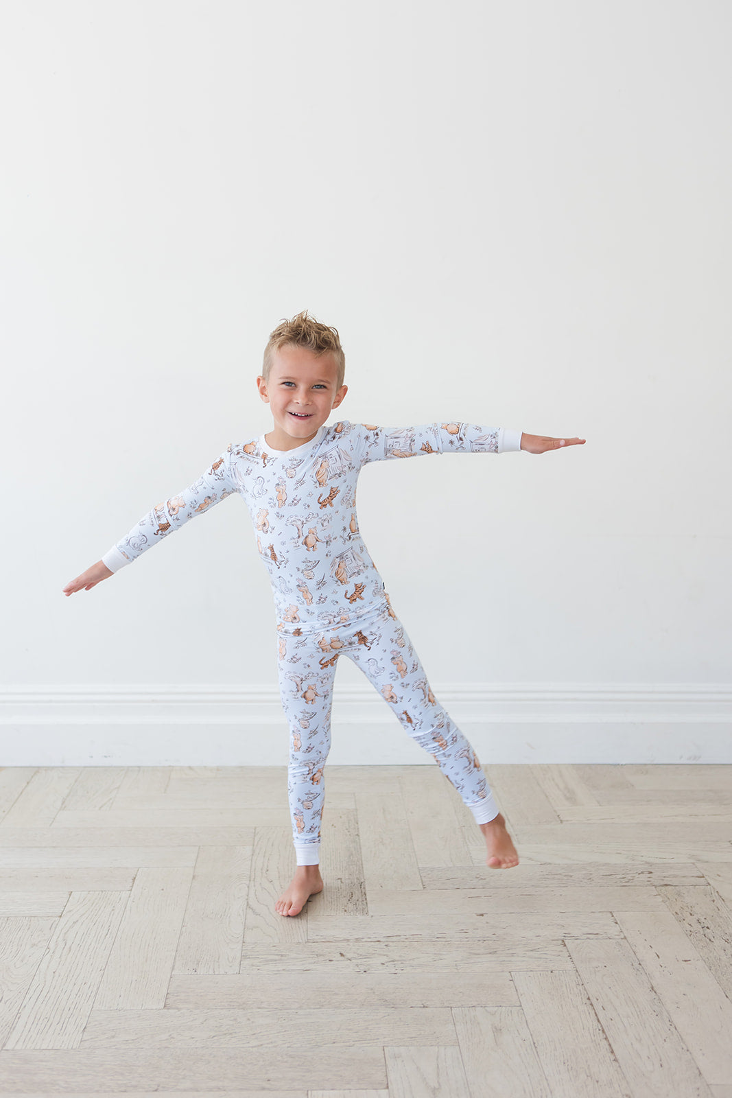 Silly Old Bear - Set