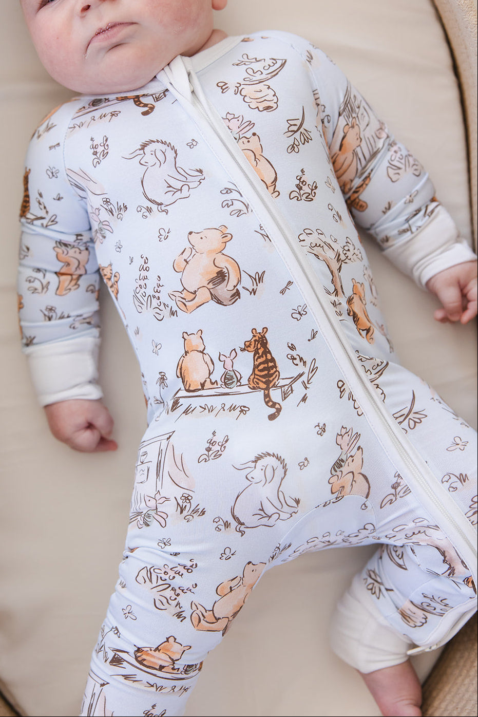 Silly Old Bear -  Zippy