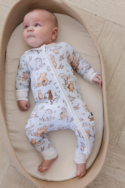 Silly Old Bear -  Zippy