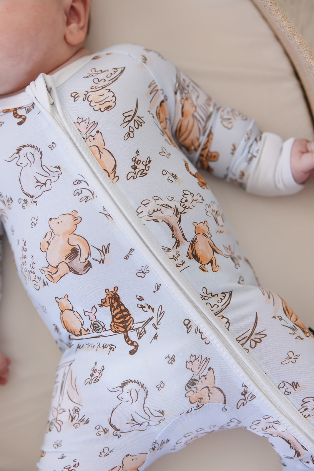 Silly Old Bear -  Zippy