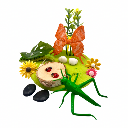 Butterfly & Bug Playdough Sensory Kit: Educational Insect-Themed Play Kit