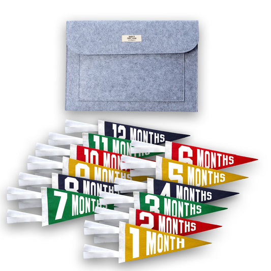 Baby Milestone Pennant Gift Set