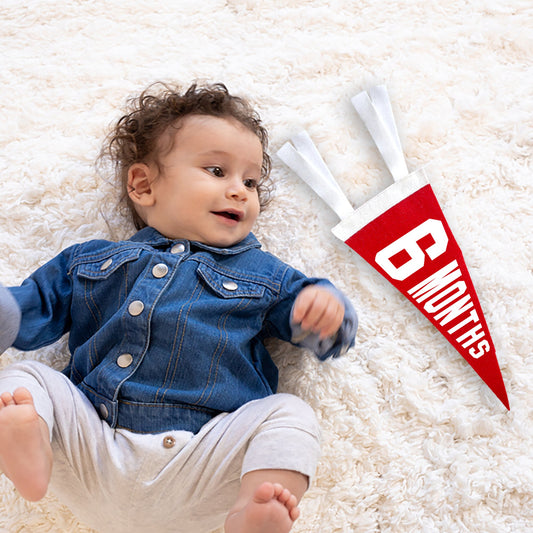 Baby Milestone Pennant Gift Set