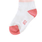 Pink Stripe Socks