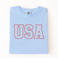 Comfort Colors USA Stars Tee - more colors