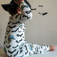 Spooky Bro Bamboo Zippy Pajamas