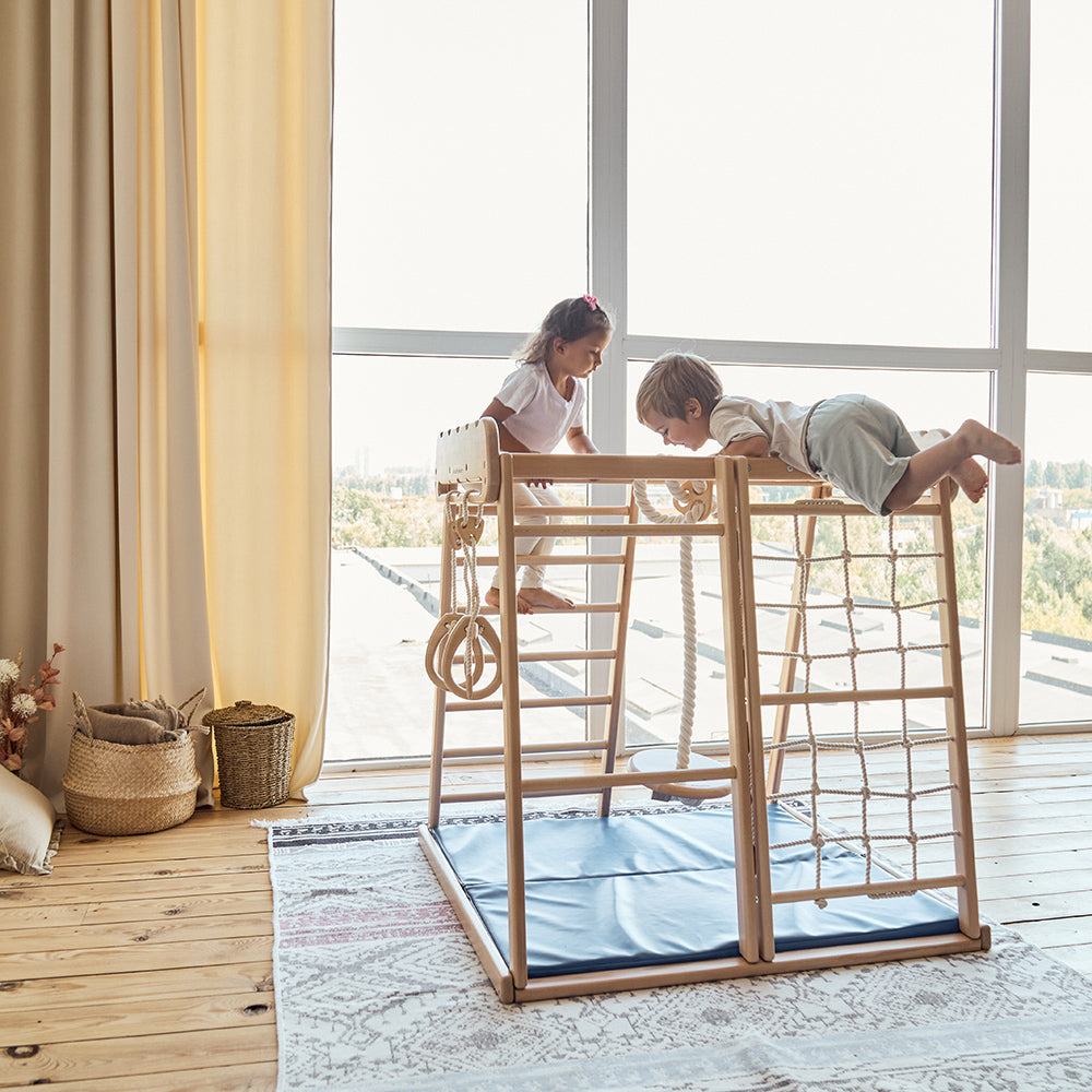 Indoor Jungle Gym