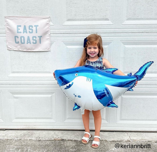East Coast Banner