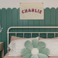 Custom Canvas Name Banner - Daisy Font