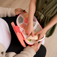 2-in-1 GoBe Lunchbox