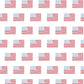 Charles Boys' Short Set - American Flag