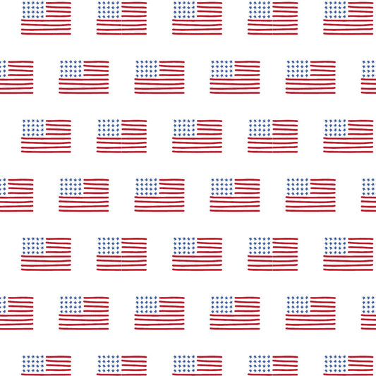 Charles Boys' Short Set - American Flag