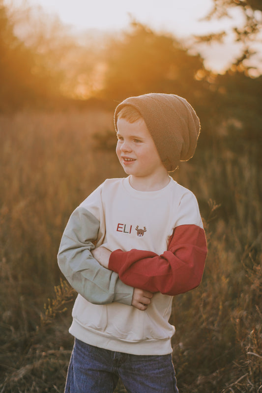 Benutzerdefiniertes besticktes Weihnachts-Colorblock-Sweatshirt oder Strampler