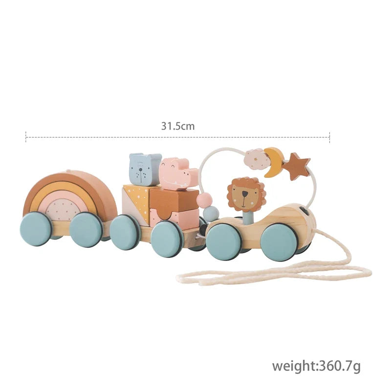 Wooden Montessori Dinosaur Wheel Toy