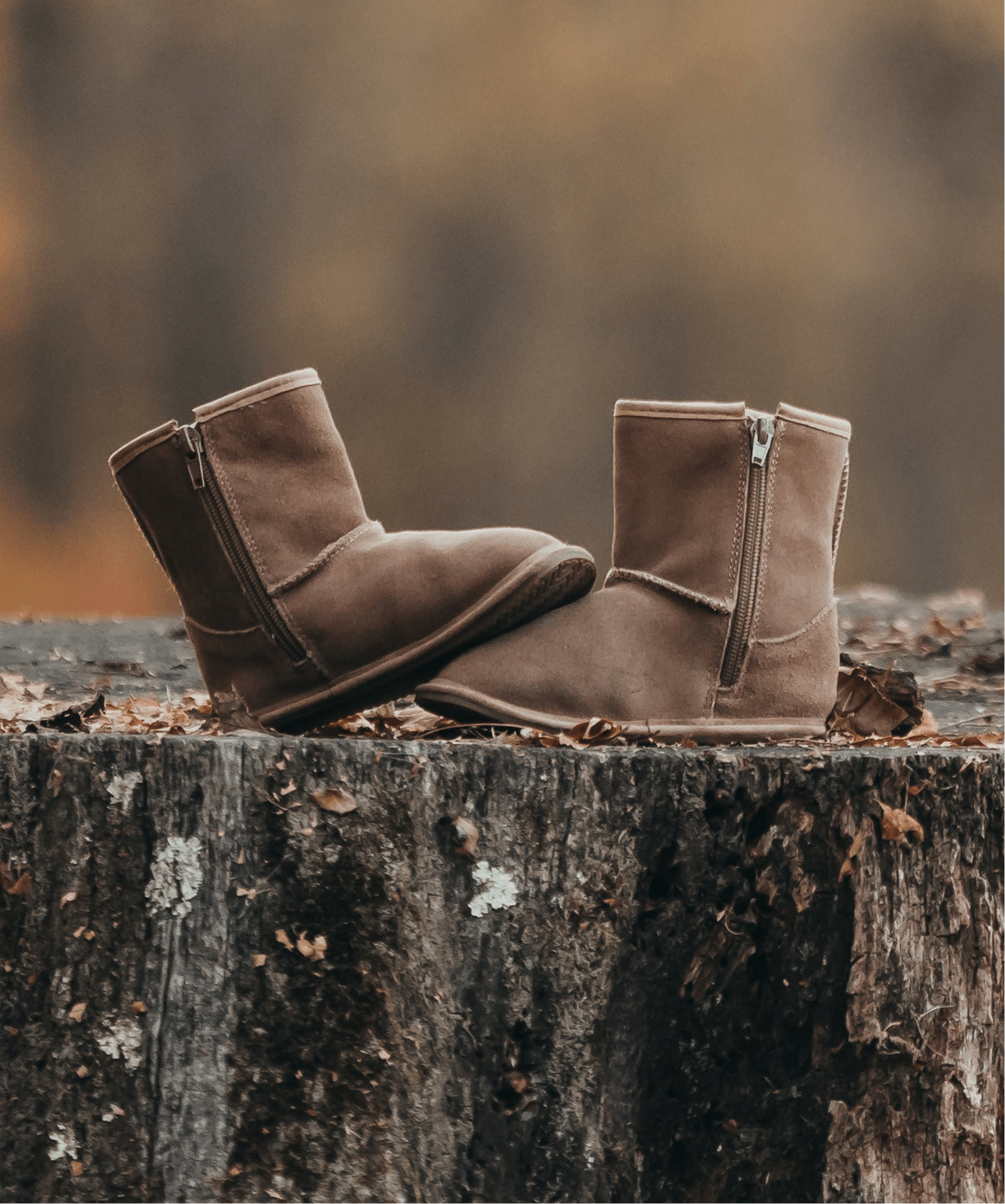 Pre-Order The Winter Boot
