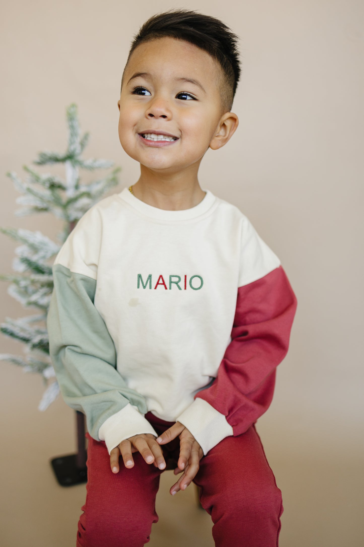 Custom Embroidered Christmas Colorblock Crewneck Sweatshirt