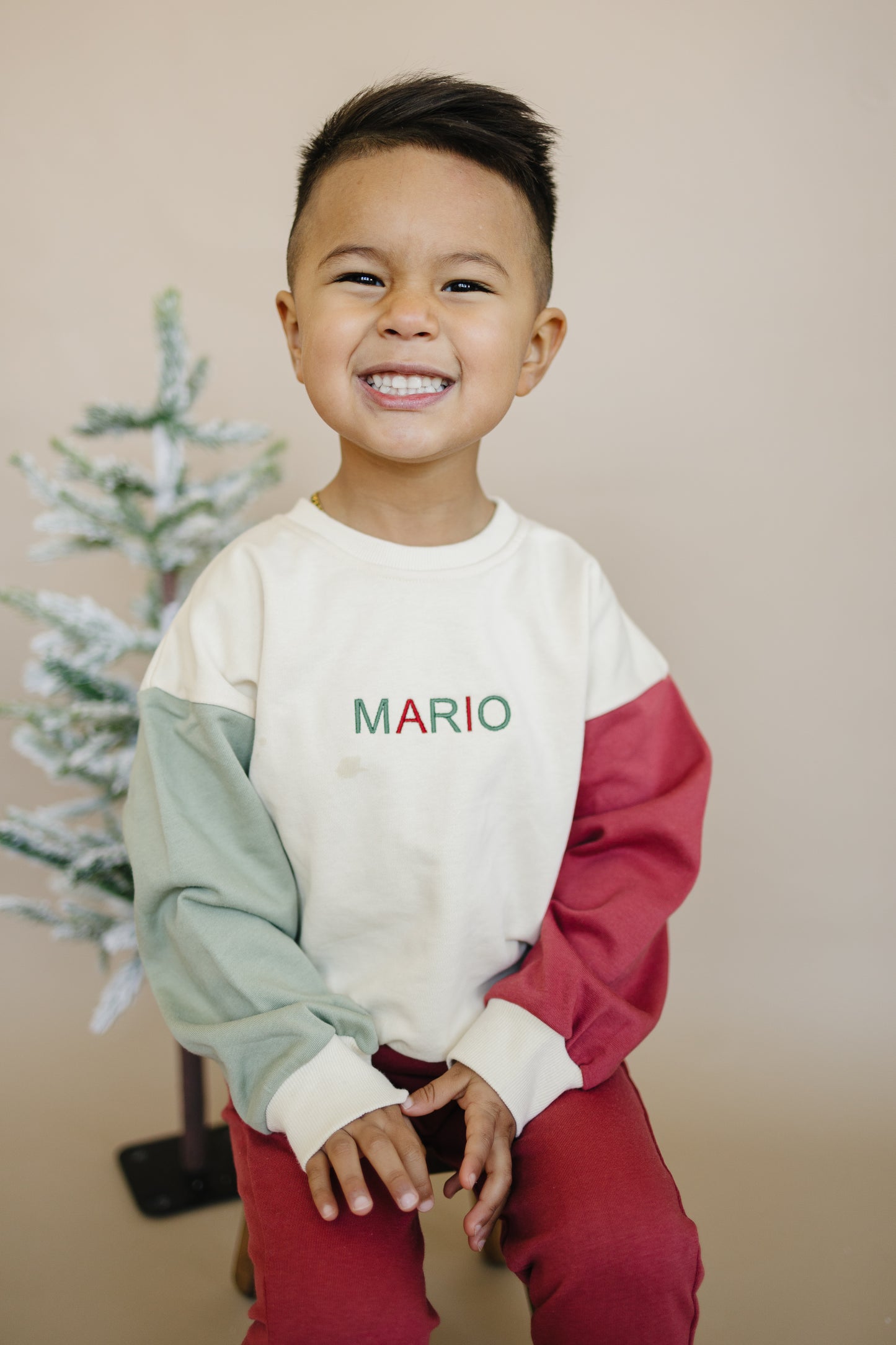 Custom Embroidered Christmas Colorblock Crewneck Sweatshirt