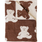 Teddy Bear Plush Blanket