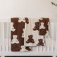 Teddy Bear Plush Blanket