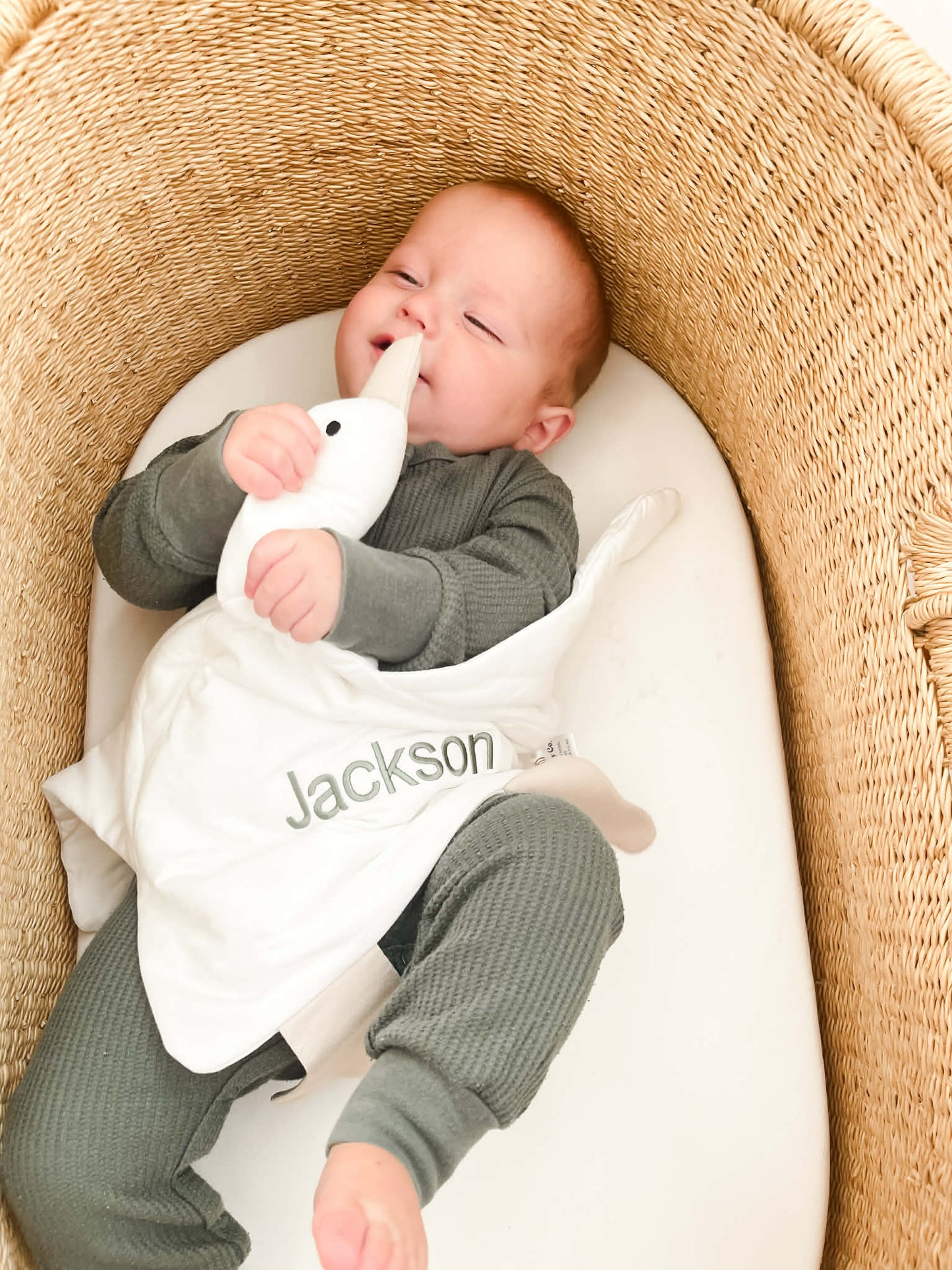 Benutzerdefinierte bestickte Bambus Ente Lovey - XL Plüsch