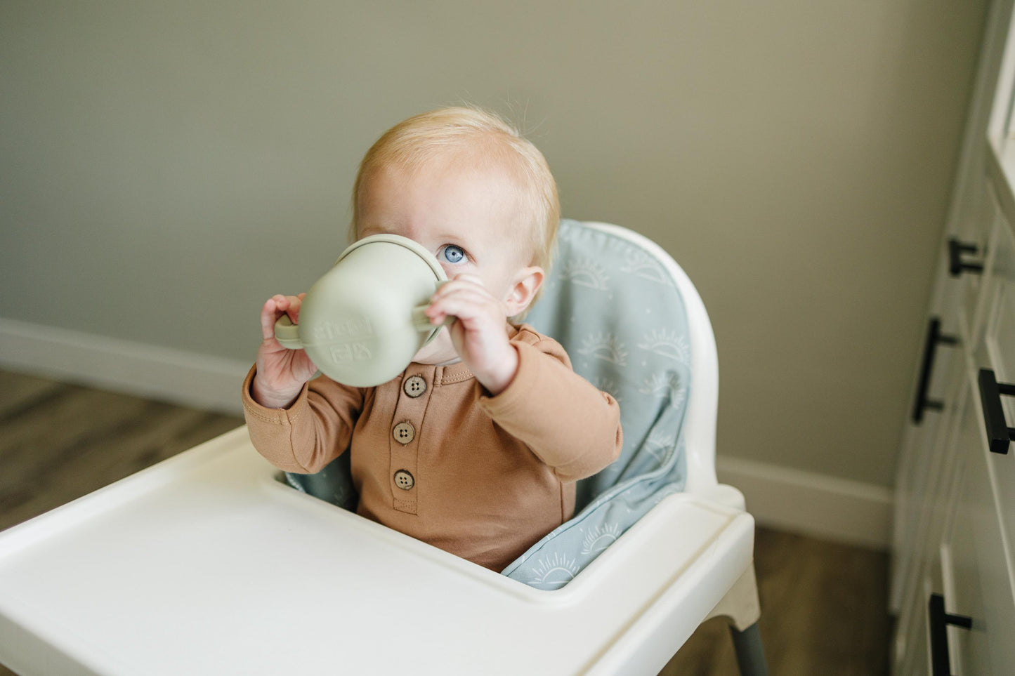 Sage Suns Cushion Cover