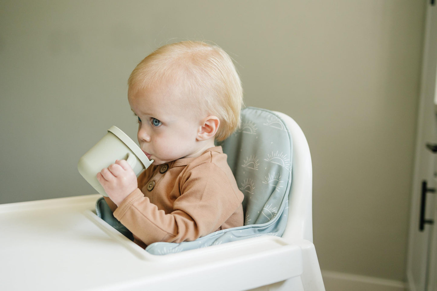 Sage Suns Cushion Cover